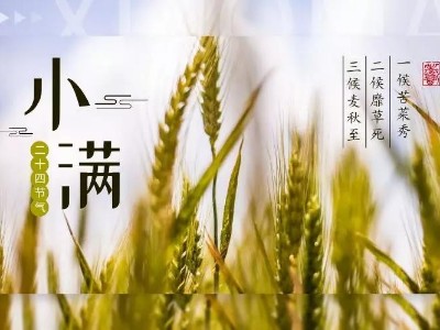 520，給您“滿”心誠意